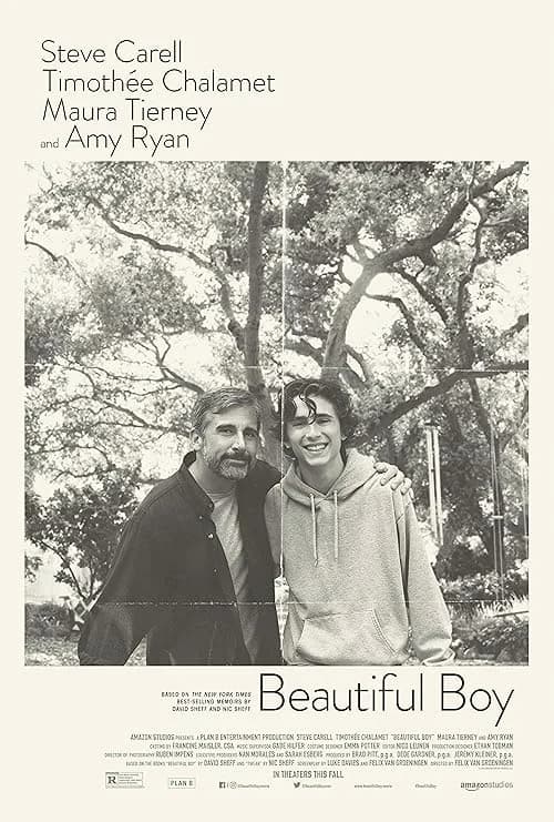 Beautiful Boy film posteri